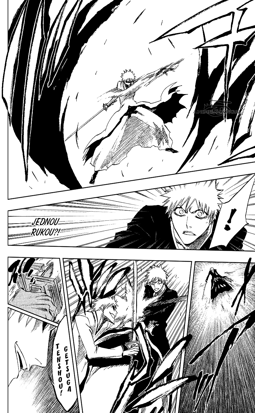 Bleach 219 10 kopie.jpg